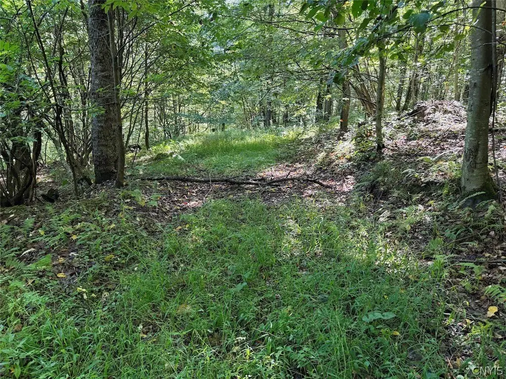 Picture 43