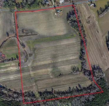 55 Acres of Buildable Land