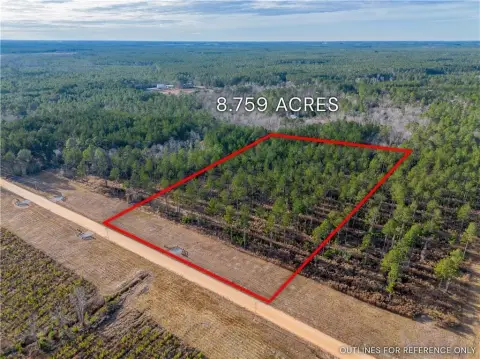 Brooklet, GA Farm/Timber Land