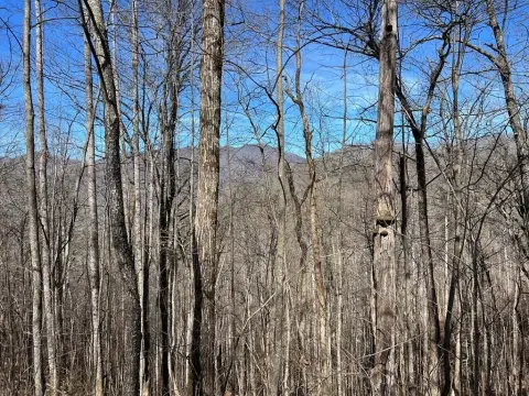 Hiawassee, GA Mountain Lot