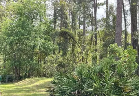 Residential Lot in Darien, GA