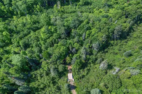 Hunting Land with Creek Borders