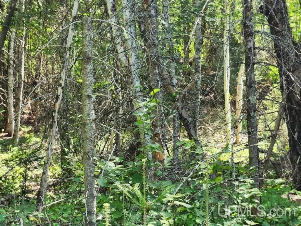 Picture 24