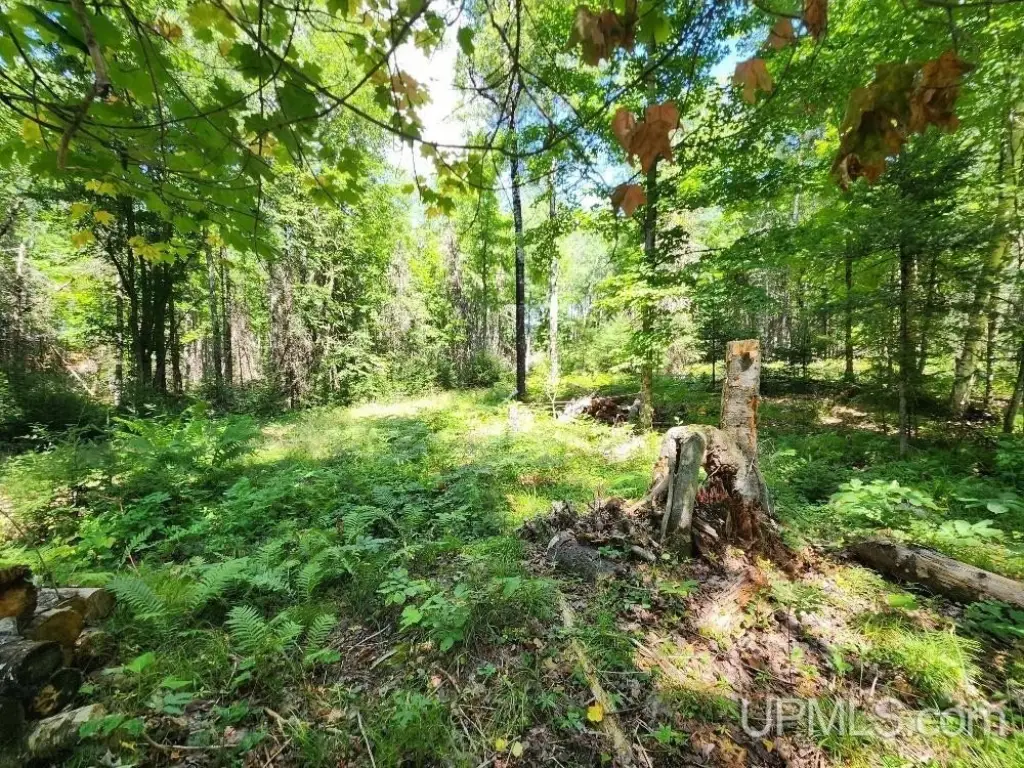 Picture 29