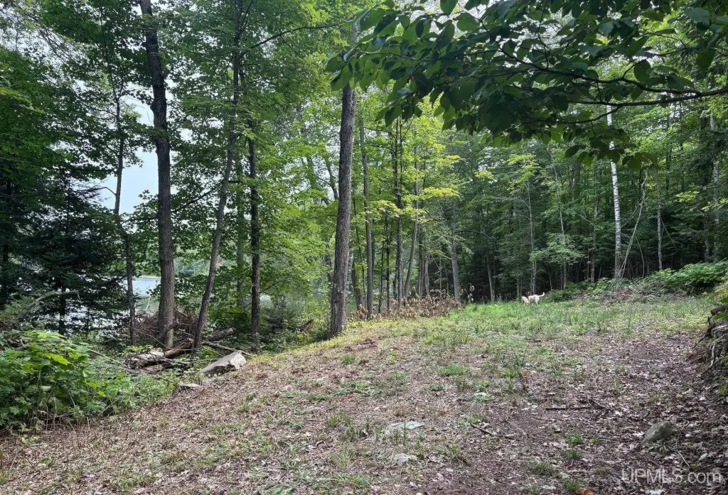 Picture 25