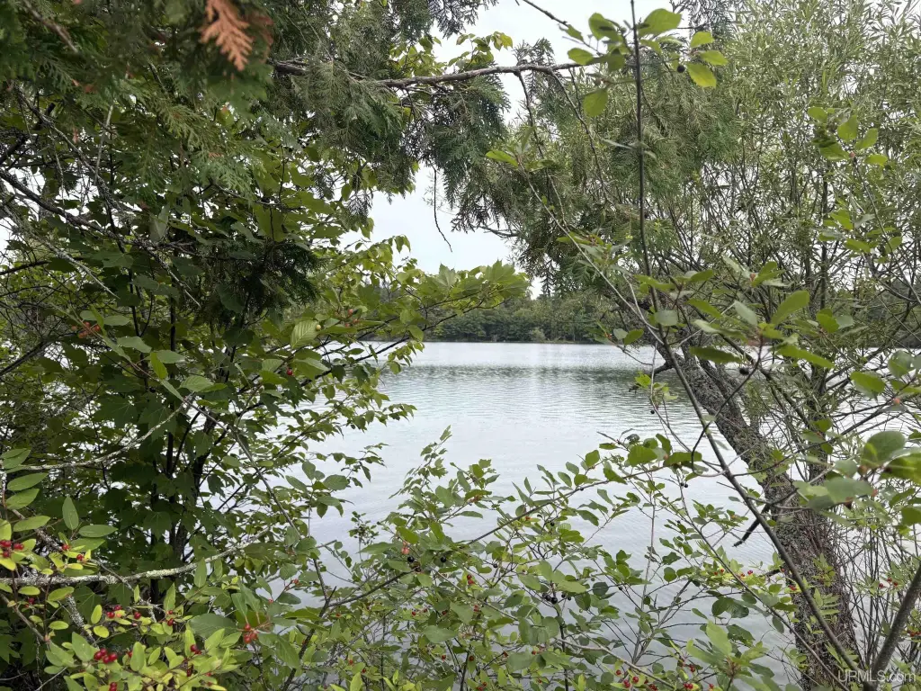 Picture 17