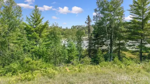 Wooded Waterfront Land Parcel
