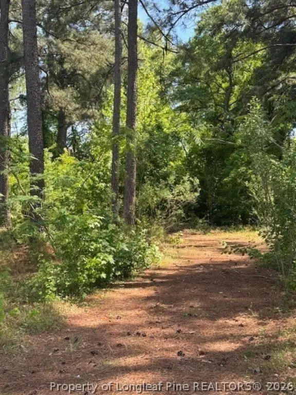 Picture 4