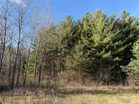 Wooded Lot in Orrock Township