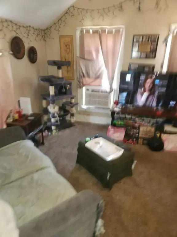 Picture 21