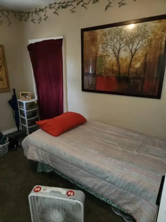 Picture 8