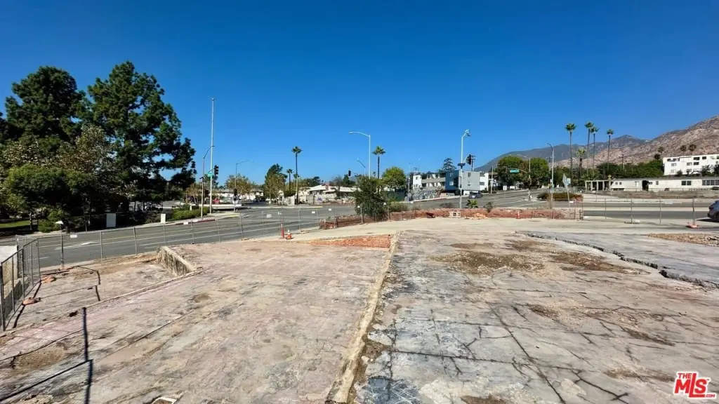 Picture 5