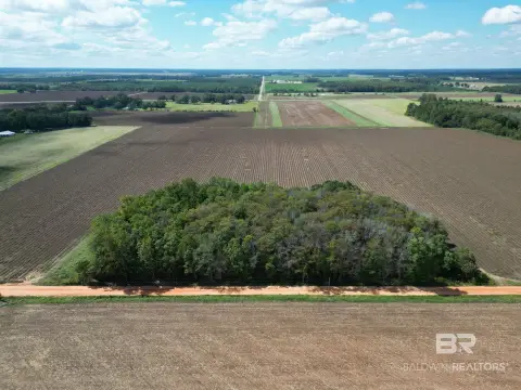 Agricultural Land with Row Crops
