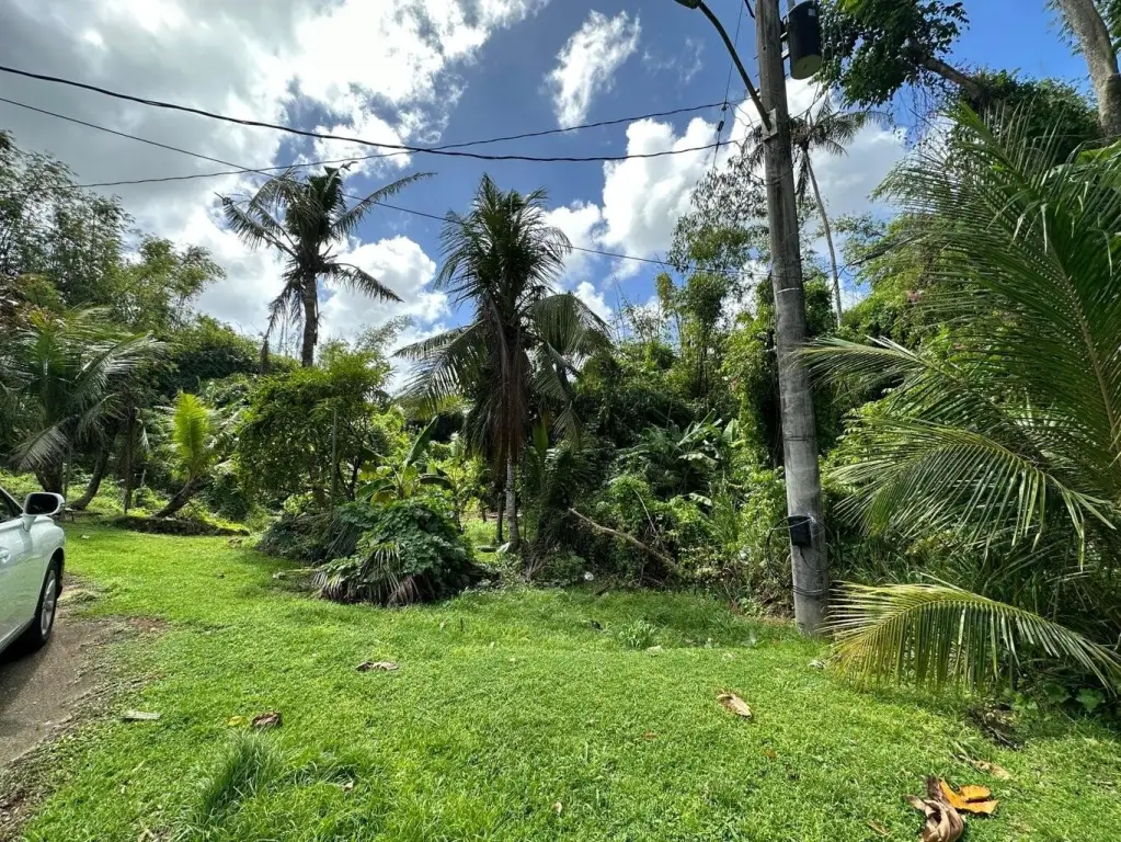 Picture 10