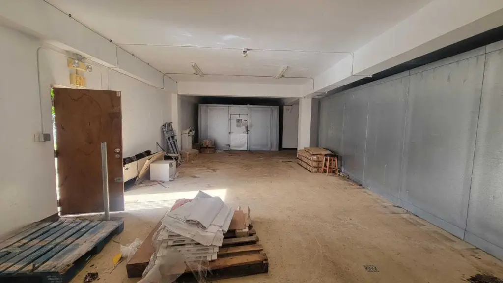 Picture 5