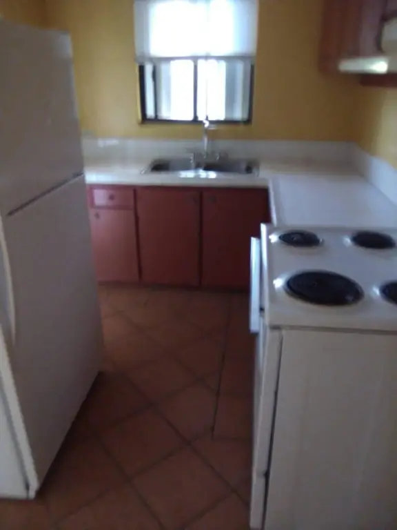 Picture 27