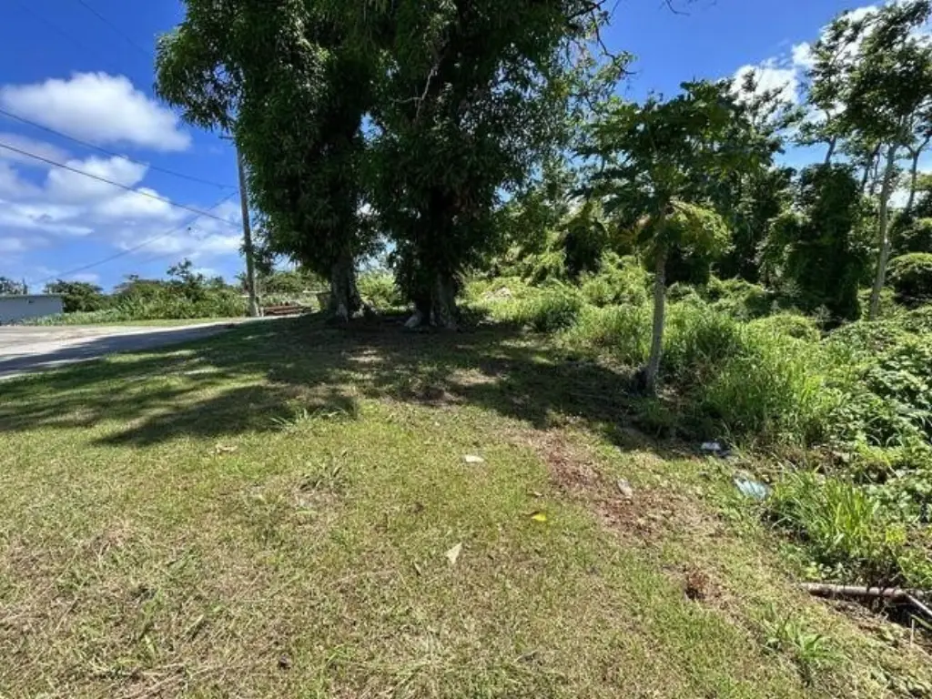 Picture 5