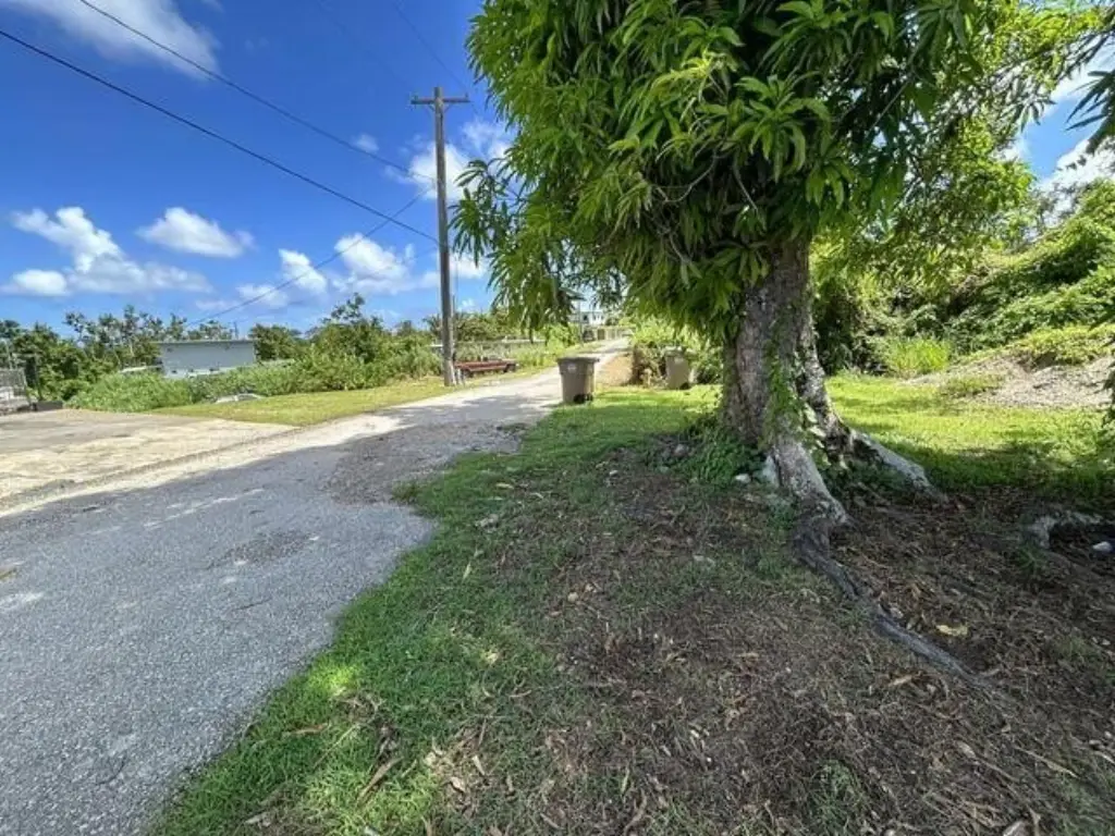 Picture 6