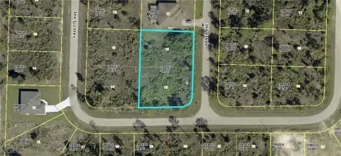 Half-Acre Corner Lot in Lehigh