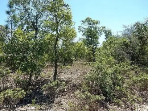 9.93 Acres Wooded Land Parcel