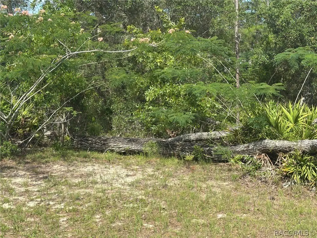 Picture 5