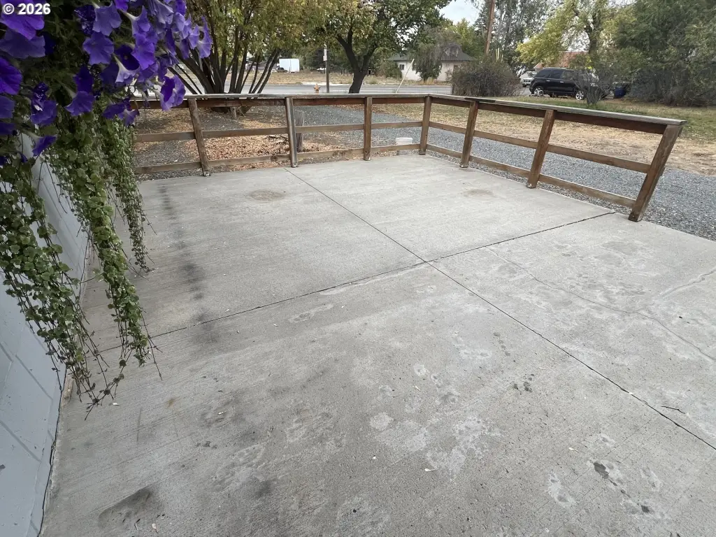 Picture 16