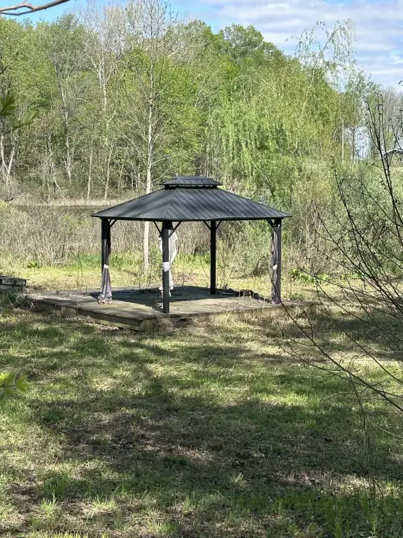 Picture 8