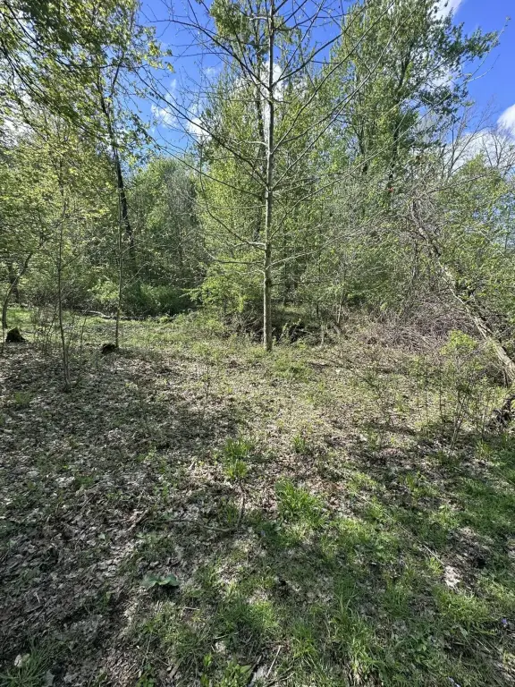Picture 13