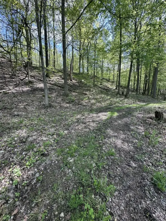 Picture 14