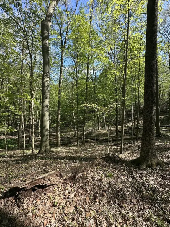 Picture 19