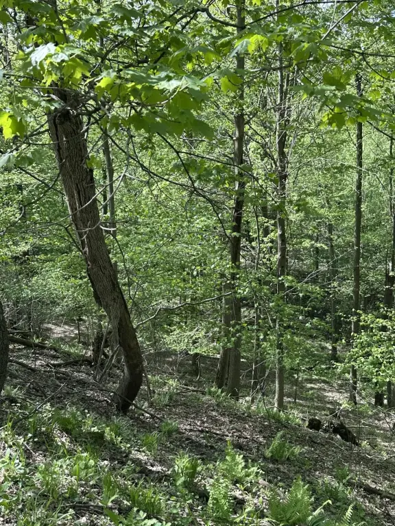 Picture 16