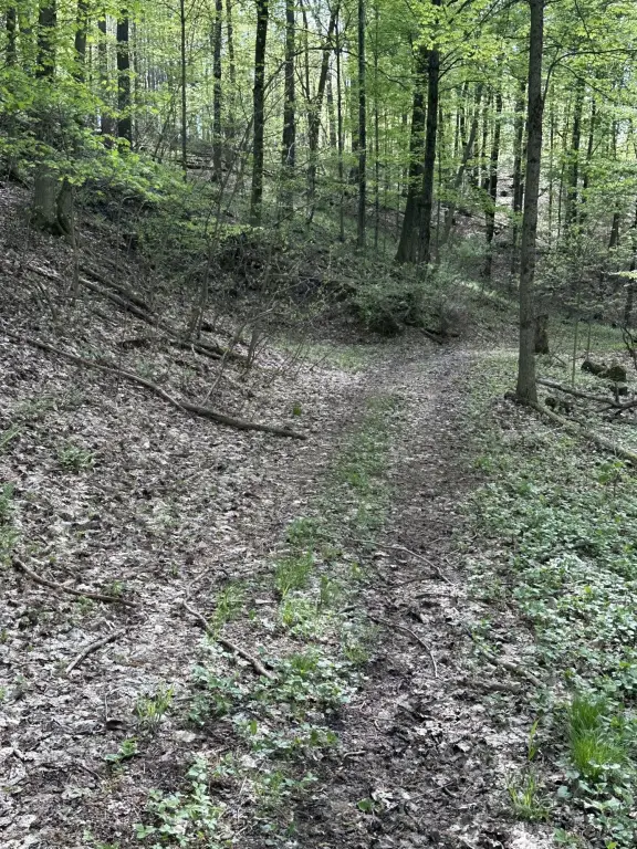 Picture 17