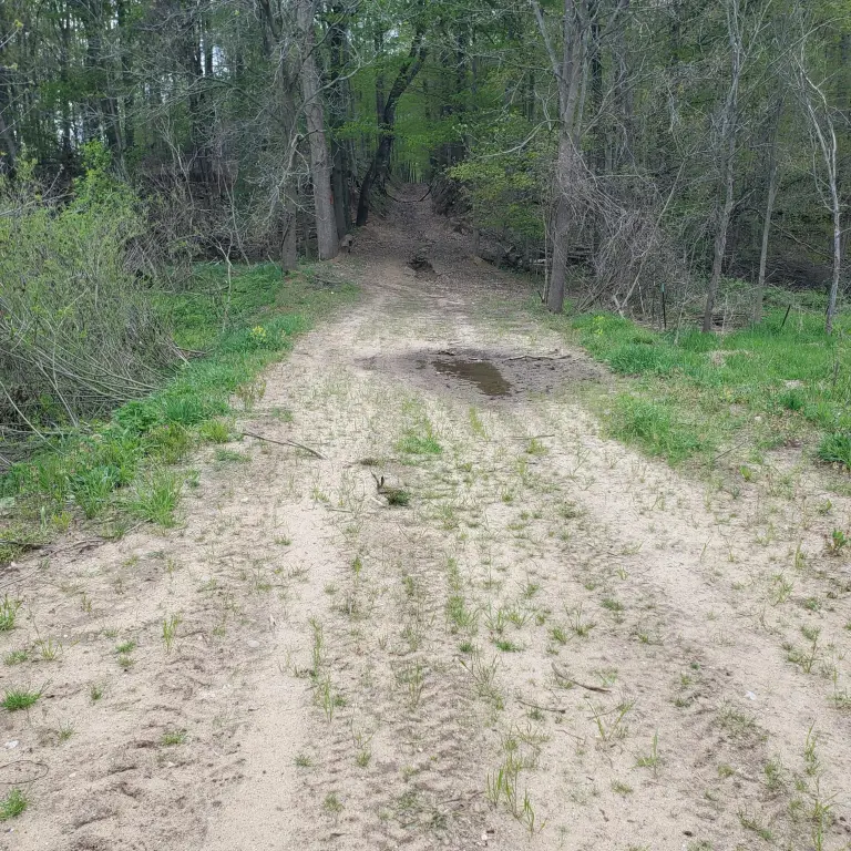 Picture 3