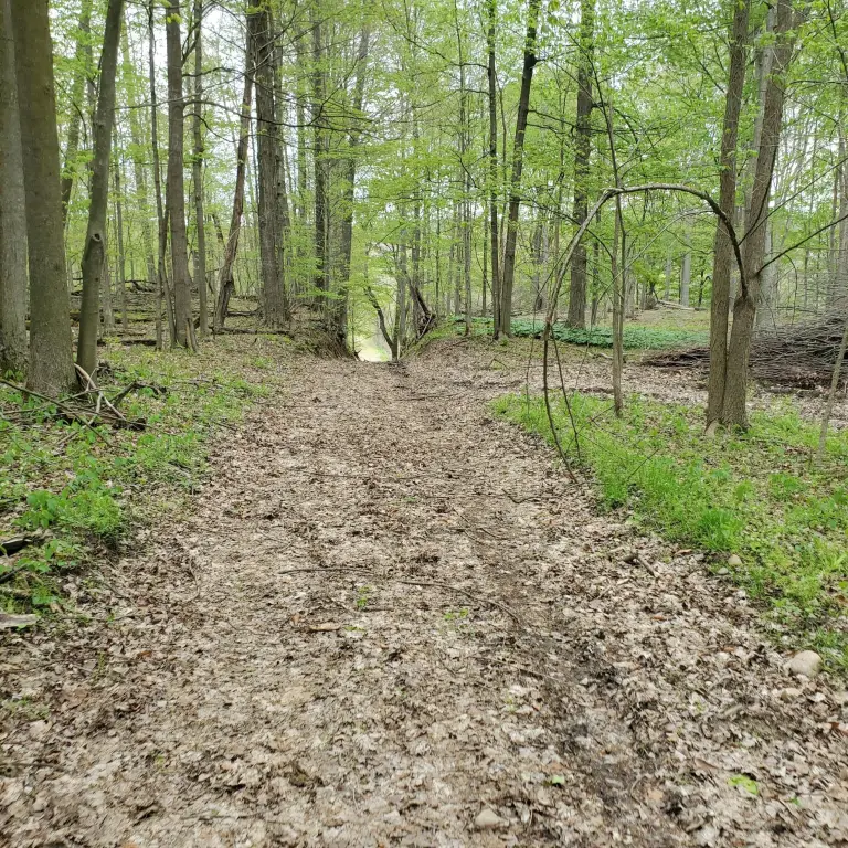 Picture 4