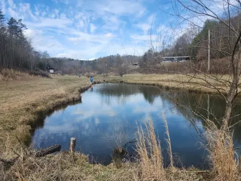 31 Acres in Murphy, NC