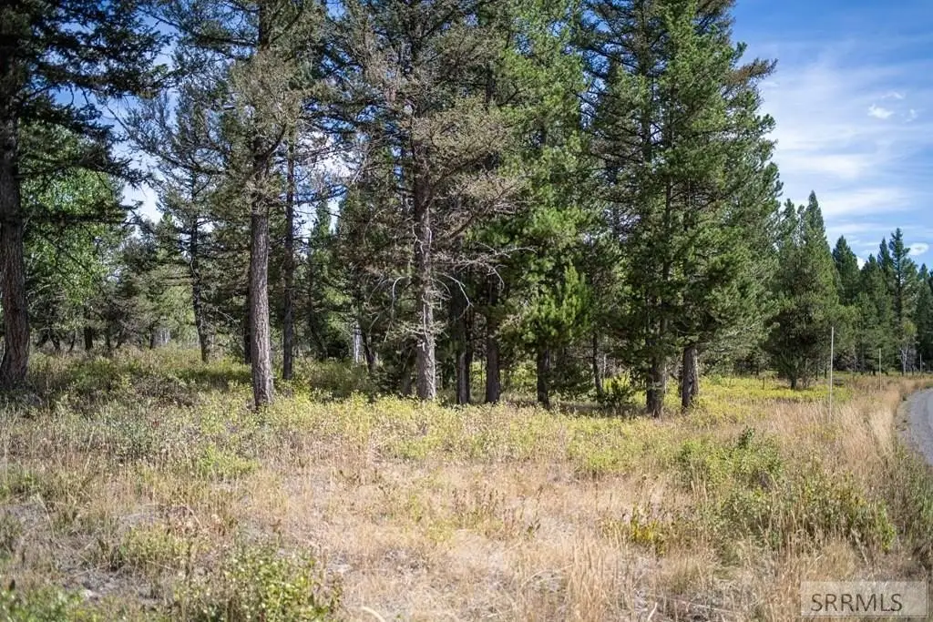 Picture 41
