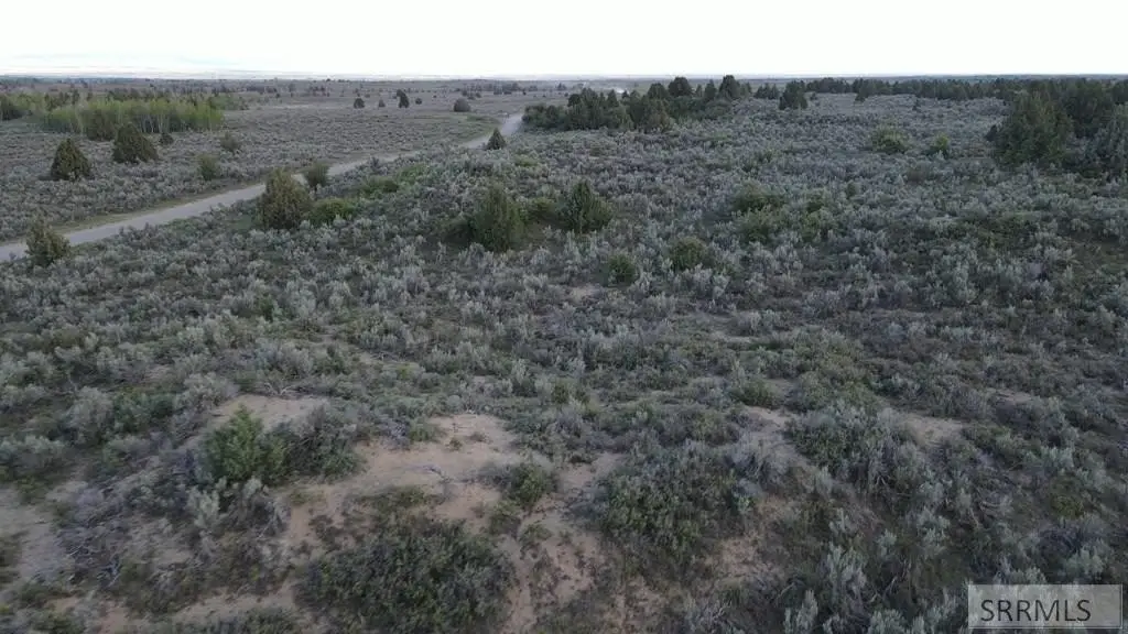 Picture 15