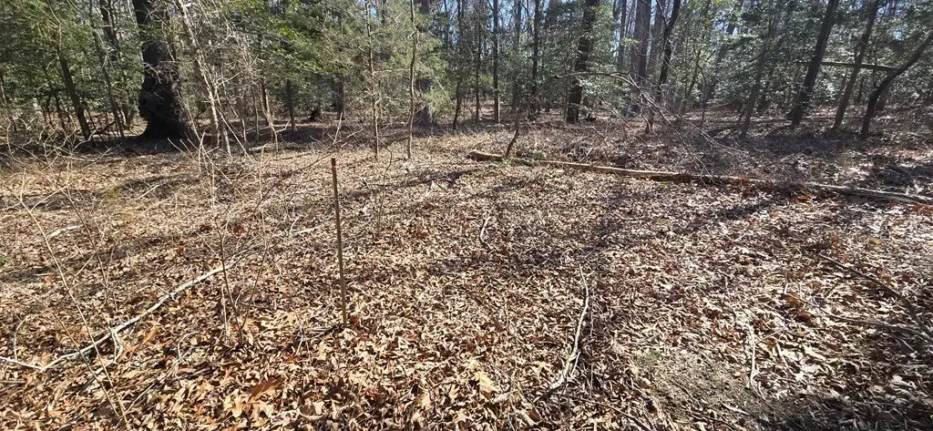 Picture 3