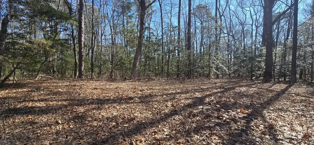 Picture 14