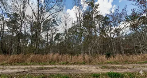 Vacant Lot in Flagler Estates
