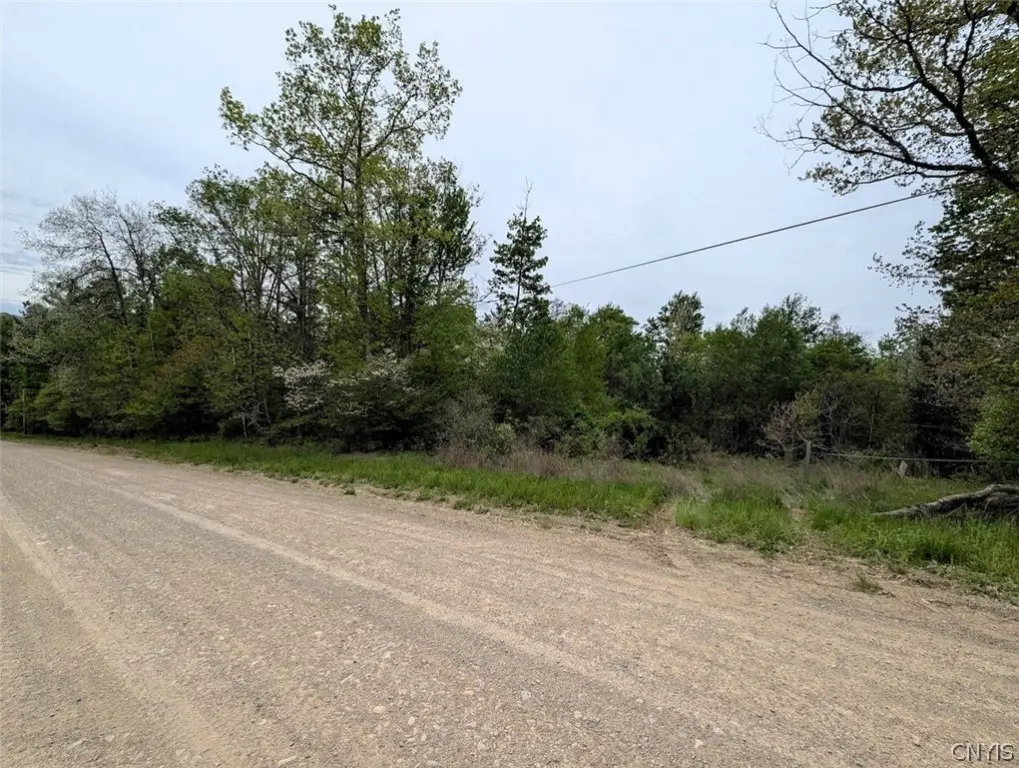 Picture 26
