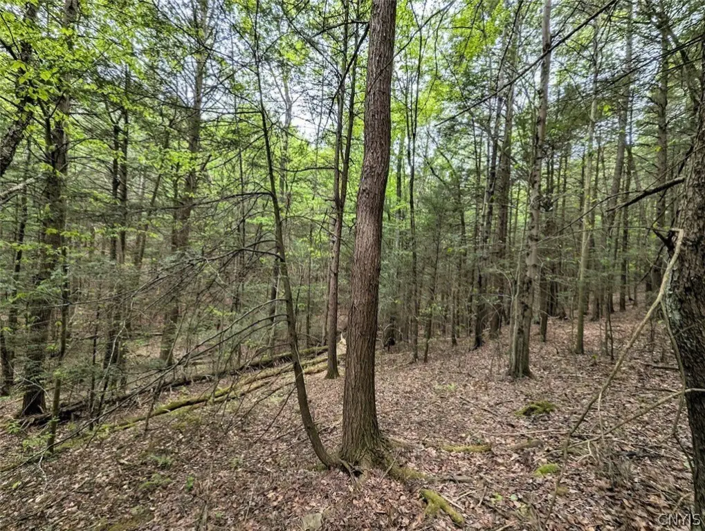Picture 16