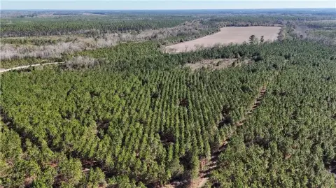 19 Acres of Country Living