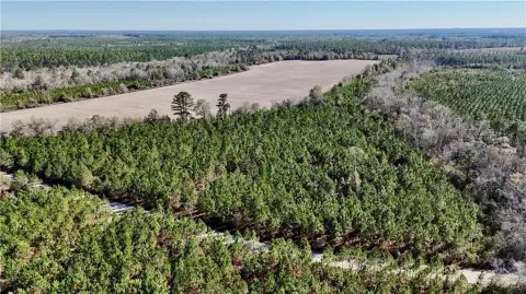 Acreage for Country Living in Georgia