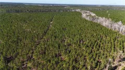 29 Acres of Country Living