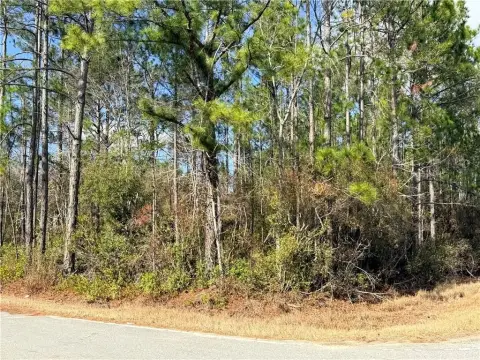 Unrestricted Residential Lot in Baxley