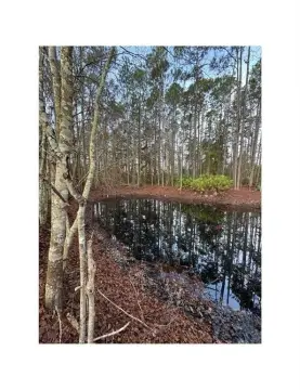 Wooded Residential Lot in Jesup