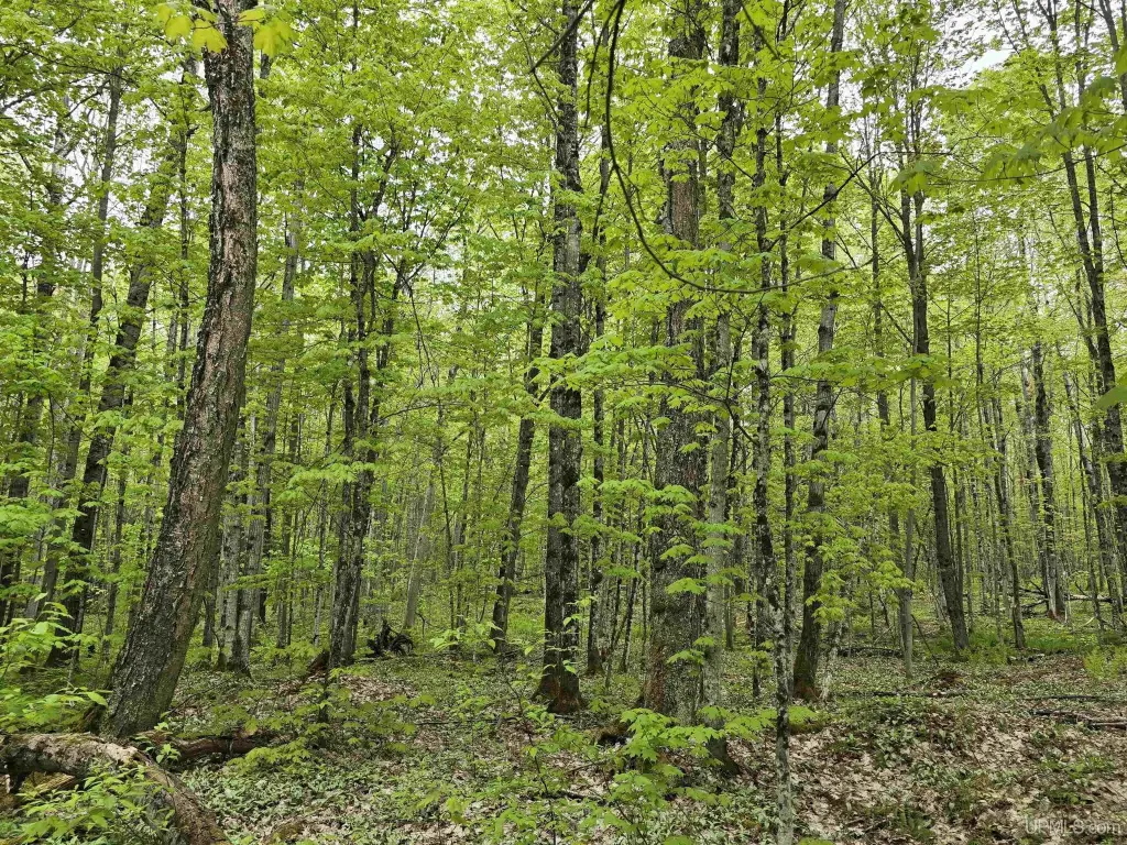Picture 28