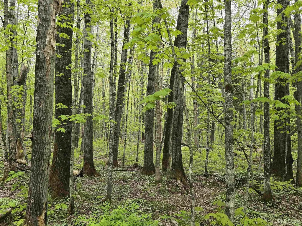 Picture 26