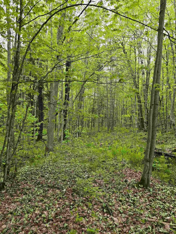 Picture 30